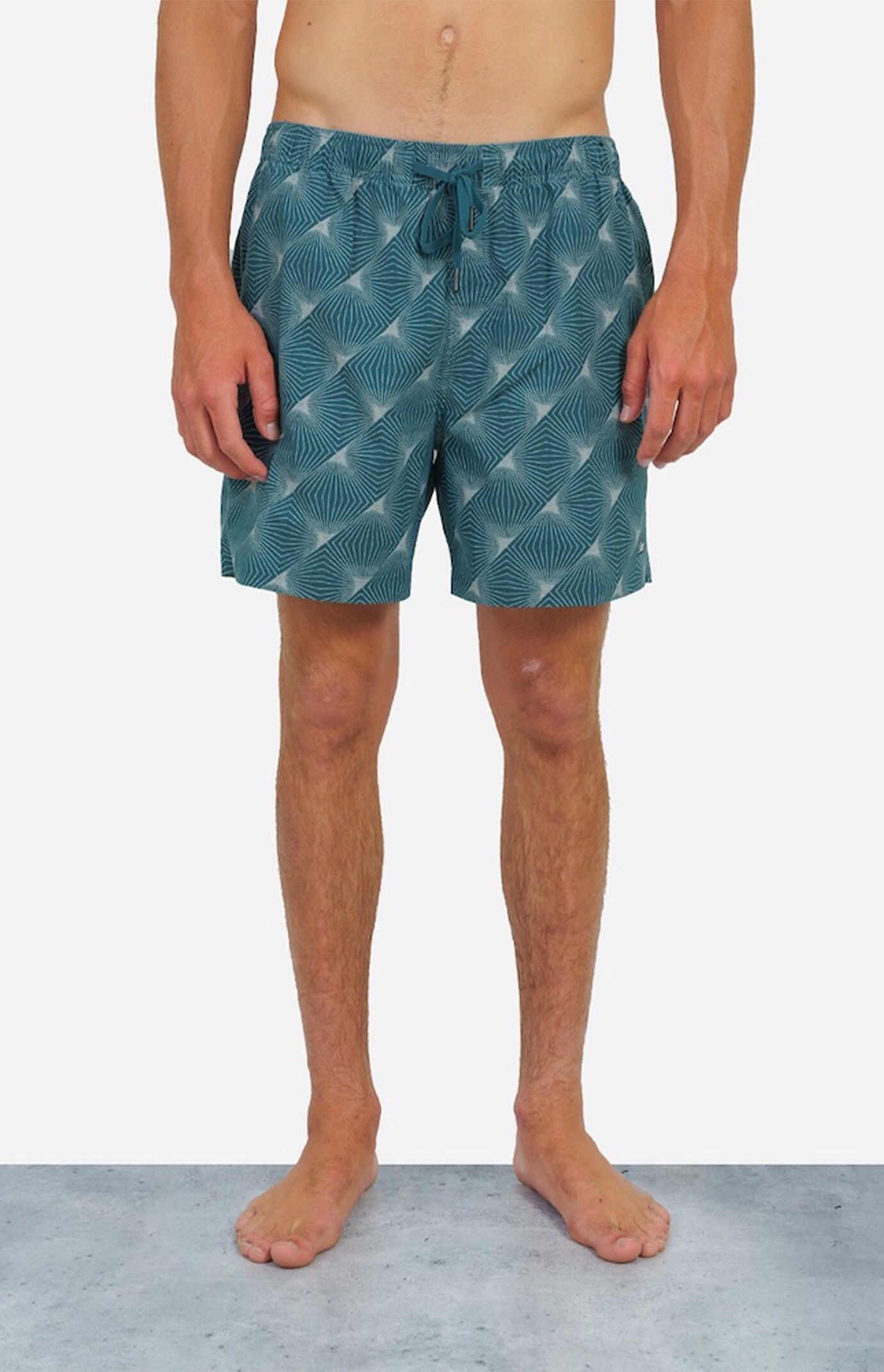 LOST Prism Dimensions Swim Trunks
