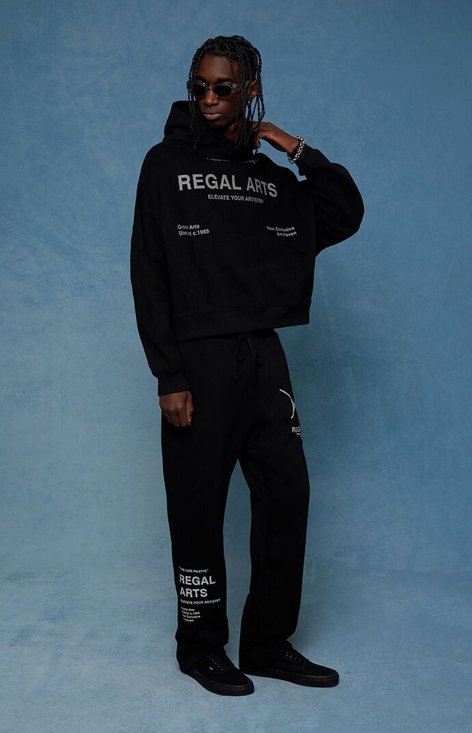 Pacsun Regal Arts Baggy Sweatpants