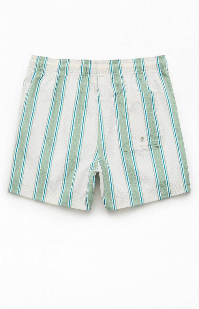 Pacsun Greenland Striped Seersucker 4.5" Swim Trunks