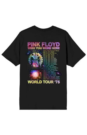 Pink Floyd Wish You Were Here T-Shirt image number 3