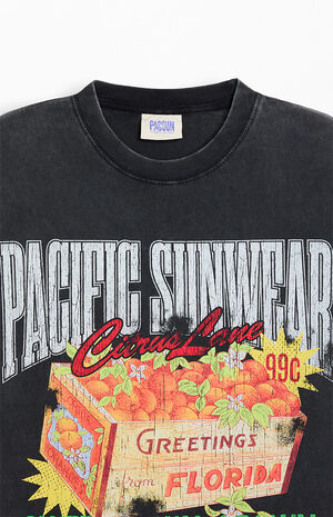 Sweet And Sungrown T-Shirt image number 2