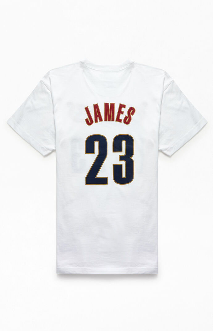 lebron mitchell and ness