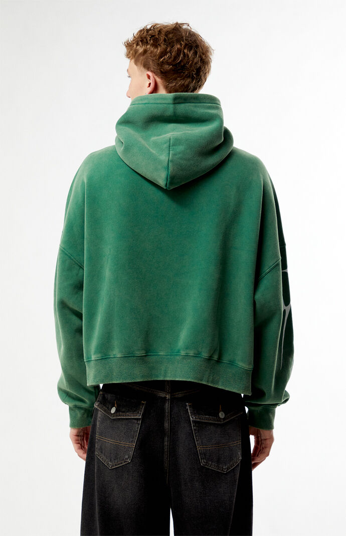 Pacsun Evolve Cropped Hoodie | Pacsun