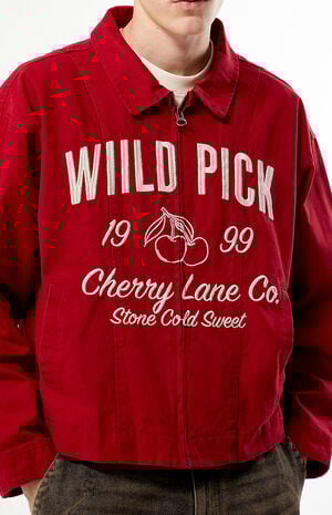 Wild Pick Gas Jacket image number 2