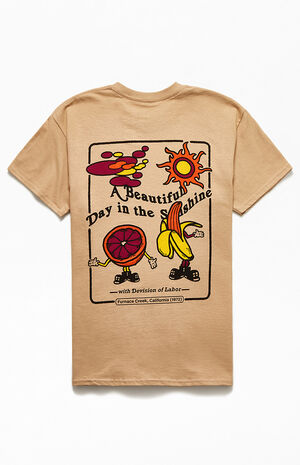 Støvet Nord Vest varemærke A Beautiful Day T-Shirt | PacSun