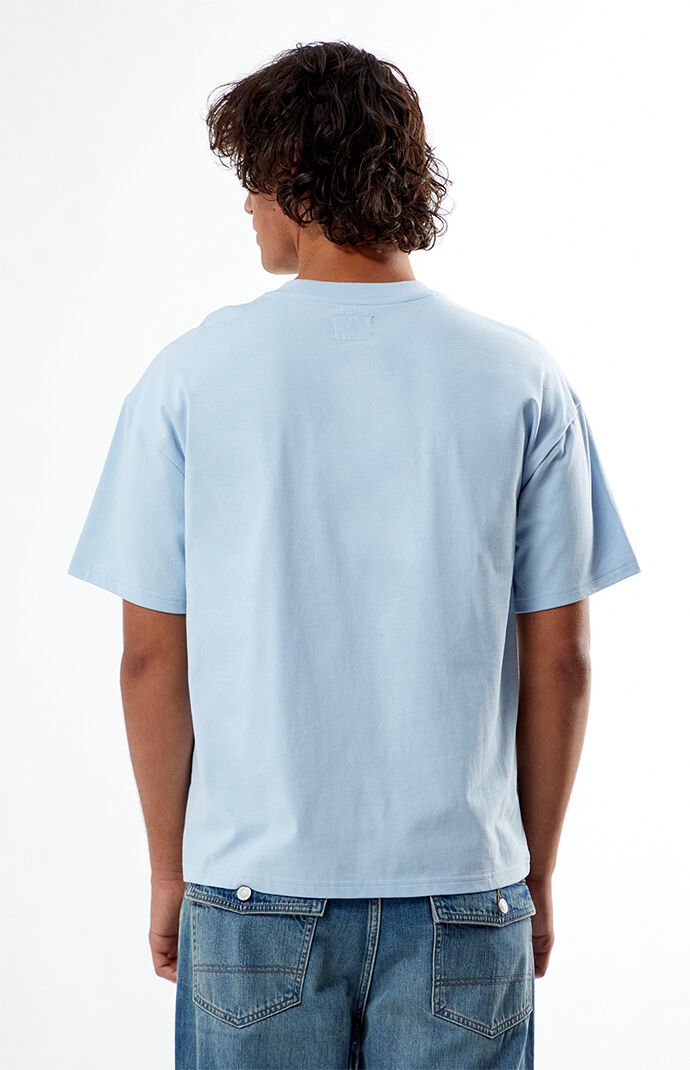 Pacsun Garden Embroidered T-Shirt | PacSun