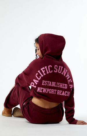 Pacific Sunwear Arch Bubble Cropped Hoodie image number 4