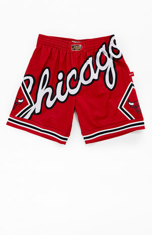 NBA Chicago Bulls Mesh Basketball Shorts image number 1