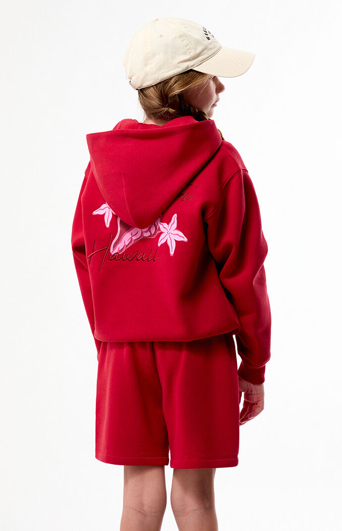 Pacsun Kids Hawaii Embroidered Full Zip Hoodie