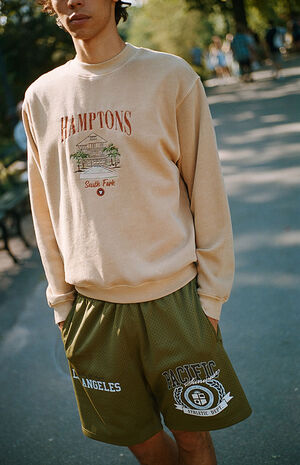 Pacific Sunwear Athletic Department Shorts image number 1