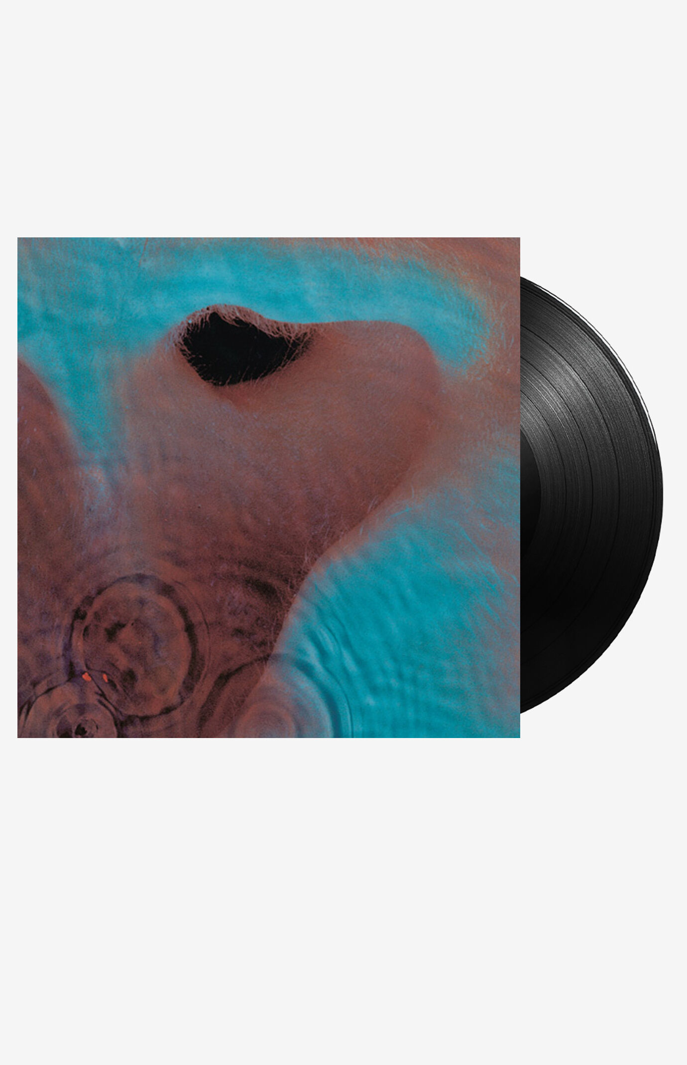 Pink Floyd Meddle Vinyl Record