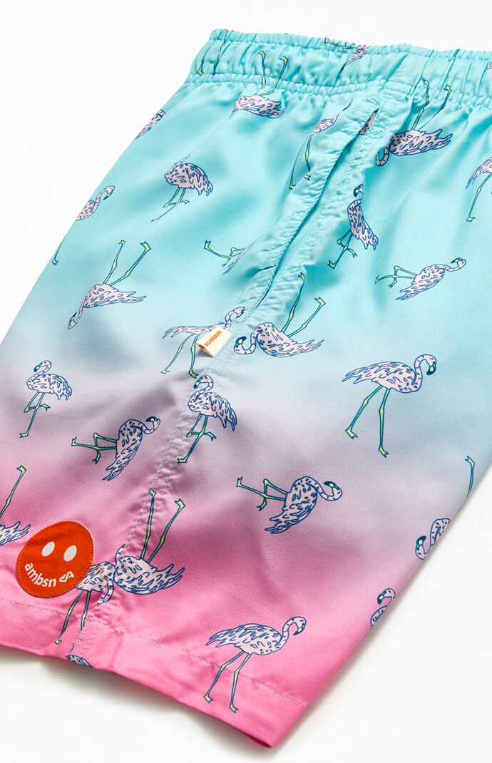 Flamingo Ombre 17" Swim Trunks
