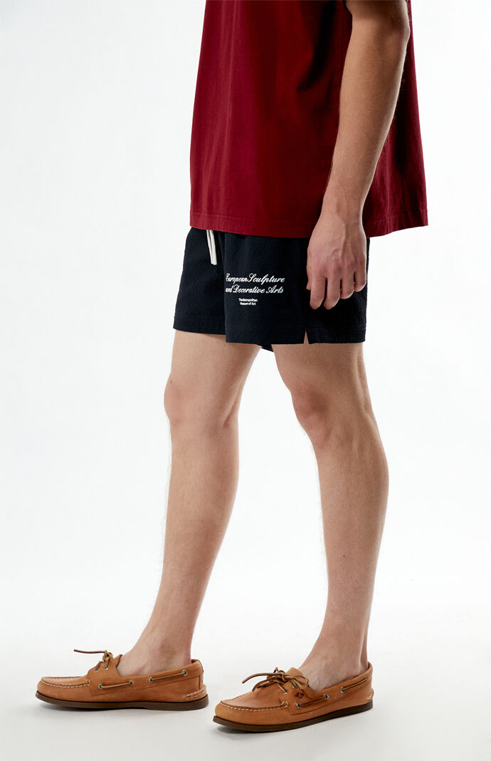 The Met x PacSun ESDA Seersucker 4.5" Swim Trunks