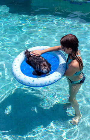 PoolCandy Inflatable Pet Pool Float PacSun