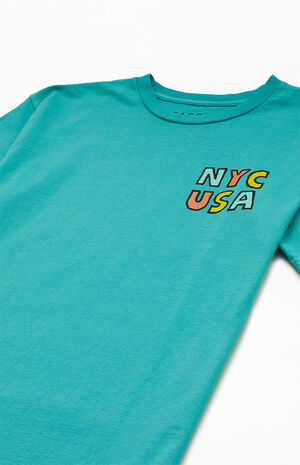 NYC SS image number 3