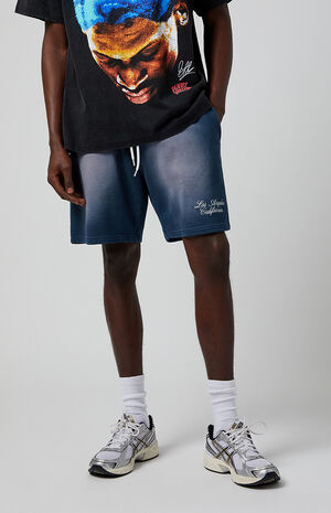 Navy Potassium Fleece Volley Sweat Shorts image number 2