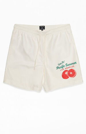 Recycled Pacific Sunwear Orange 17" Swim Trunks image number 1