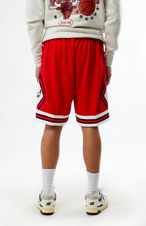 Chicago Bulls Swingman Basketball Shorts image number 4