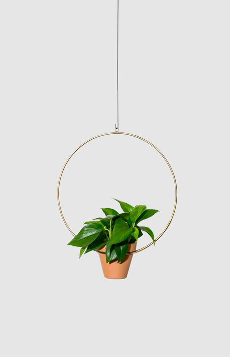 Copper Rust Hanging Circle Planter