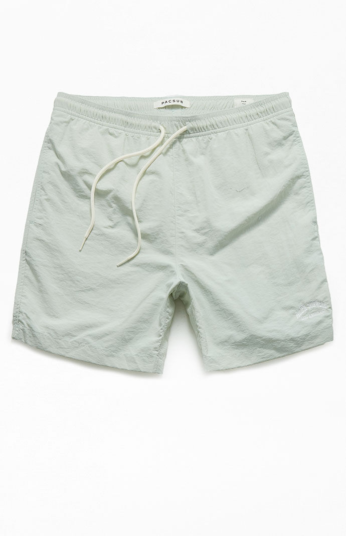 Pacsun mens swimsuits online
