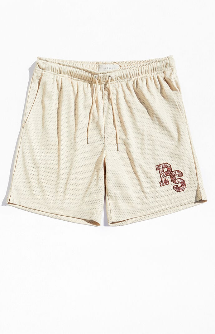 Pacsun mesh shorts clearance