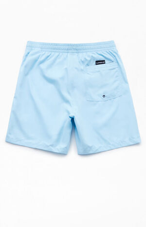 Recycled Everyday 17" Swim Trunks image number 2