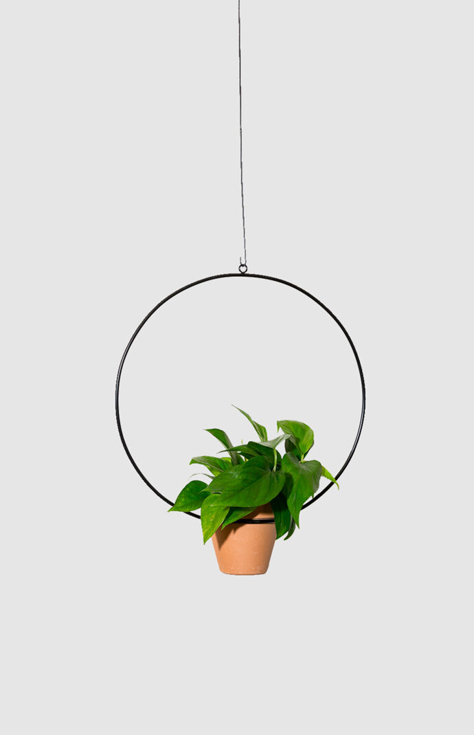 Black Hanging Circle Planter