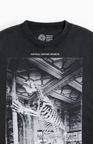 NHM Dinosaur Fossil T-Shirt image number 2