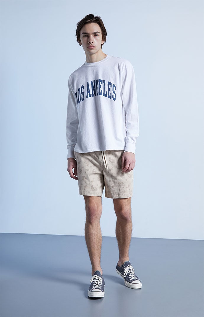 Pacsun clearance volley shorts