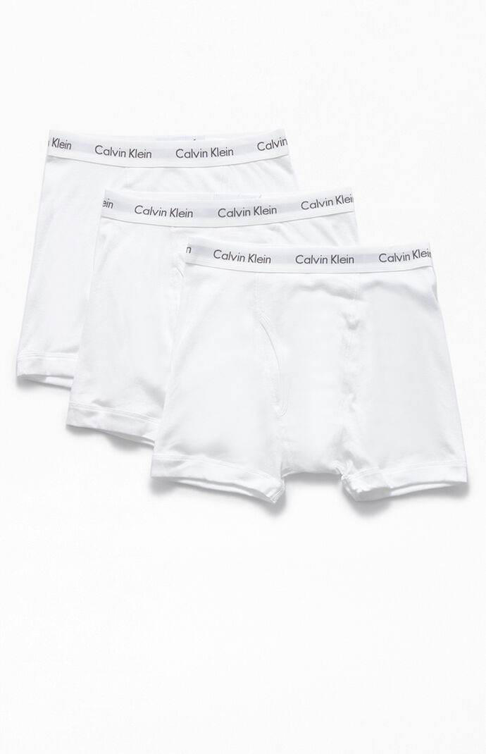 Calvin Klein Shorts Pacsun 2024 www.myteluguroots