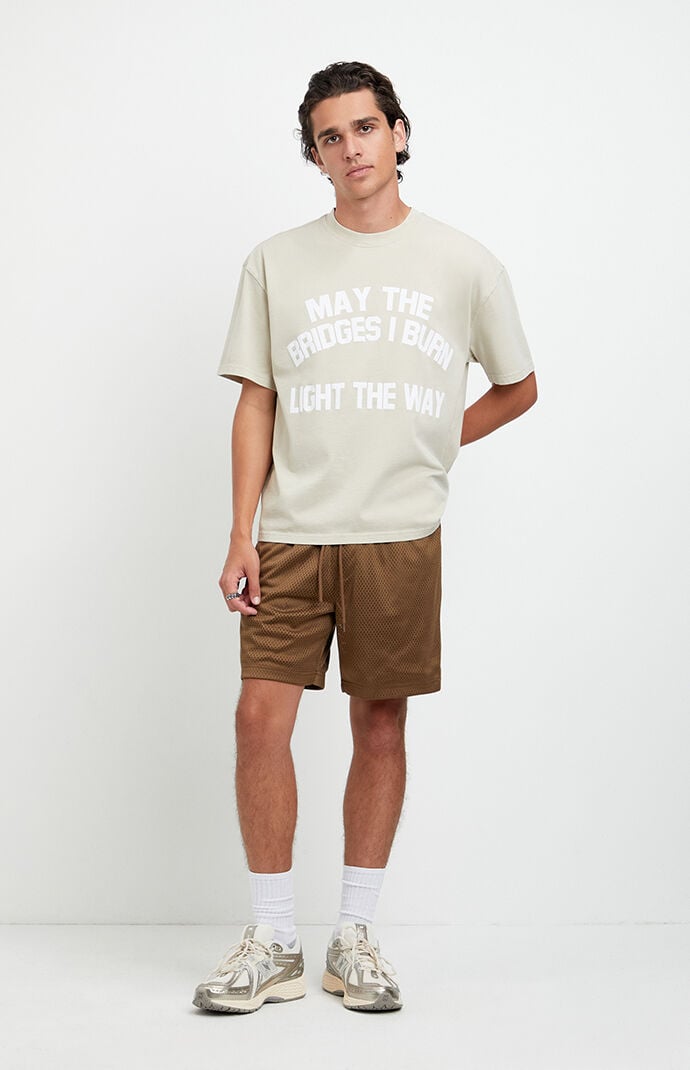 Pacsun Brown Aaron Mesh Volley Shorts