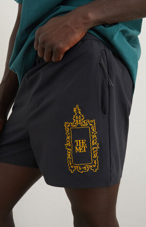 x Pacsun Hybrid 4.5" Swim Trunks image number 6