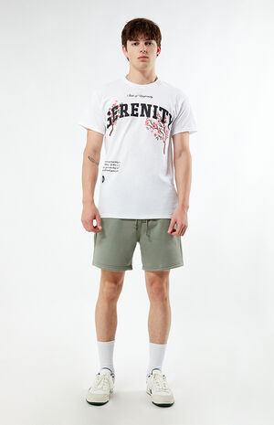 Light Gray Fleece Volley Shorts image number 4