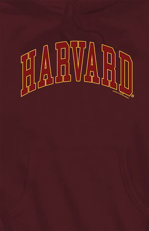 Harvard Arched Logo Hoodie image number 2