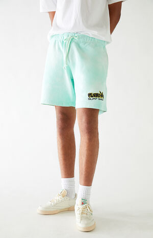 By PacSun Crystal Shorts By PacSun Crystal Shorts image number null