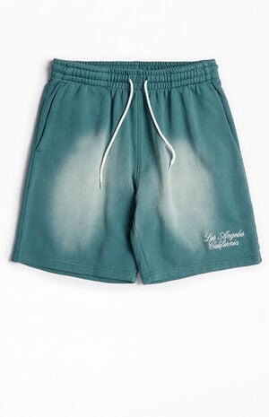 Green Potassium Fleece Volley Sweat Shorts