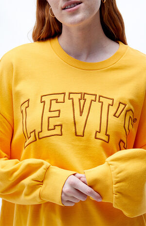 Levi's Graphic Prism Crew Neck Sweatshirt | PacSun