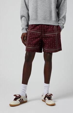 Bandana Printed Volley Shorts image number 2