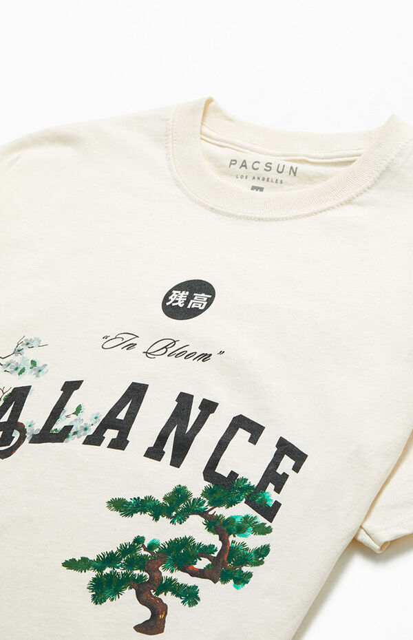 Pacsun Balance T-Shirt