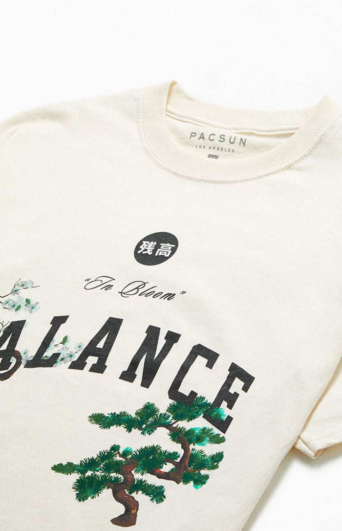 PacSun Balance T-Shirt | PacSun