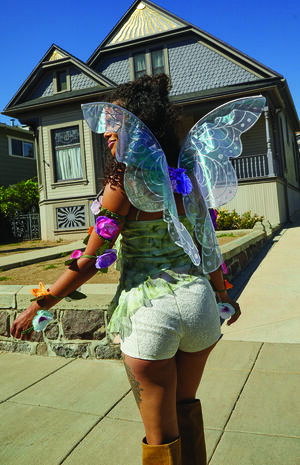Costume Iridescent Fairy Wings image number 1