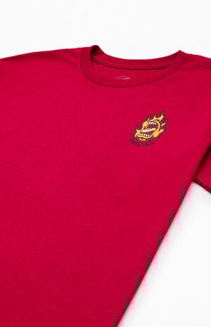 Kids Ringed Screaming Flame T-Shirt image number 3