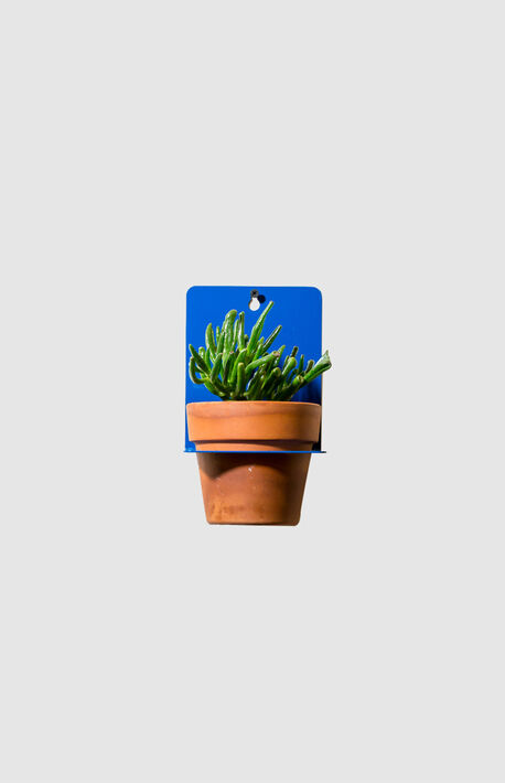 Blue Sheet Metal Wall Planter