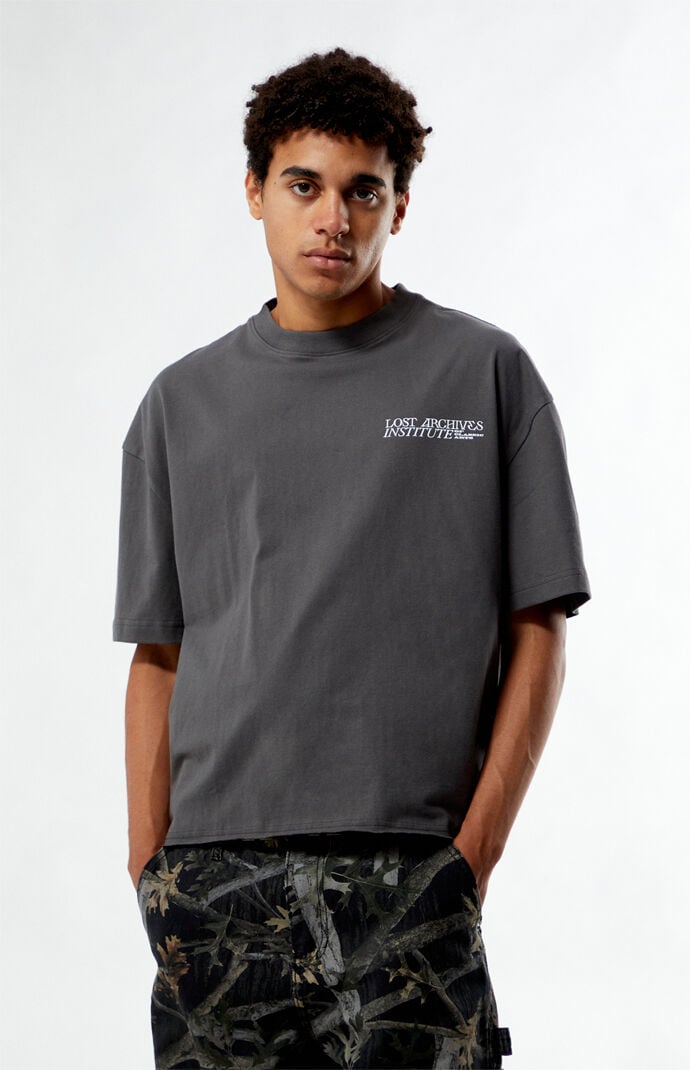 Pacsun Lake Boxy Cropped T-Shirt | PacSun