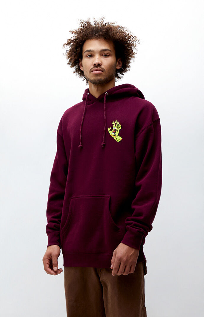 Santa cruz hotsell hoodie pacsun
