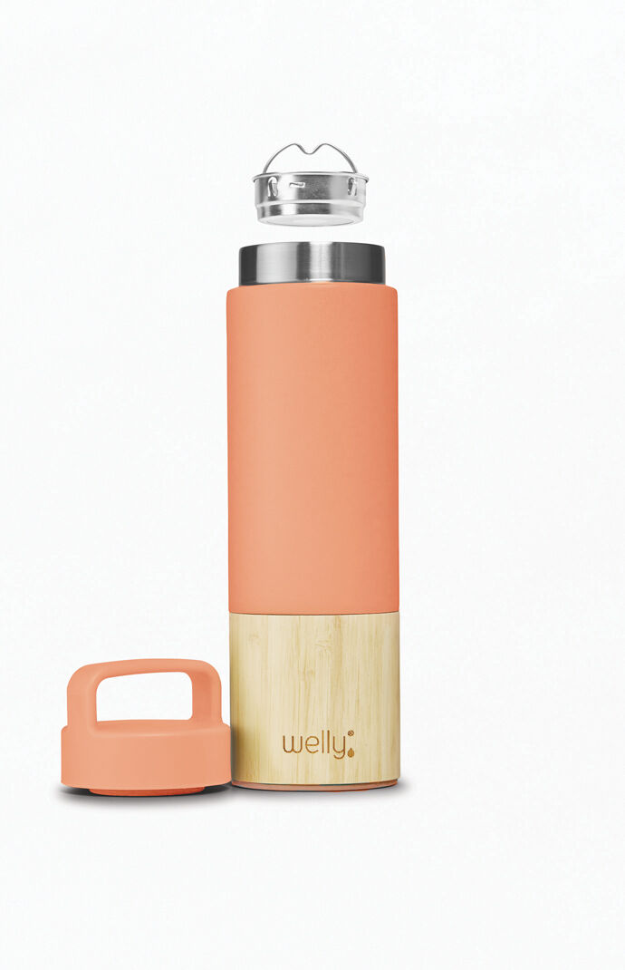 Traveler 18oz Bottle