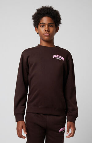 Brown Crew Neck Sweatshirt image number 1
