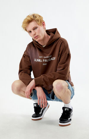 Pacific Sunwear Palisades Cropped Hoodie image number 2