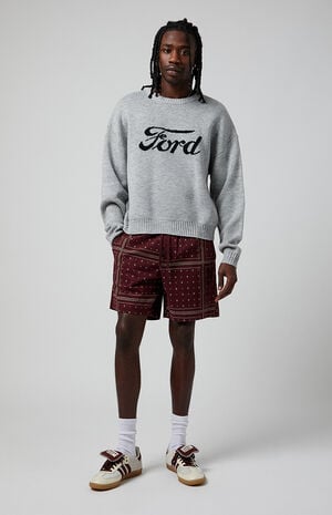 Bandana Printed Volley Shorts image number 5