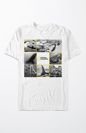 National Geographic Nature T-Shirt National Geographic Nature T-Shirt image number null